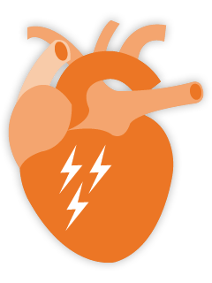 SCA and heart attack: Anyone can help