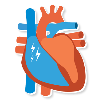 SCA and Heart Attack: Anyone Can Help